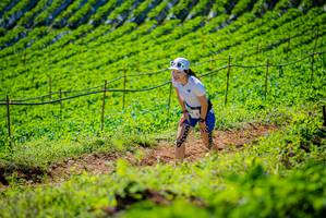 BIB: 
                            <button type="button" onclick="openModal(19162429)" class="btn btn-primary btn-sm float-right btn-popup" data-toggle="modal" data-target=".modal-high-quality">
                        <i class="fas fa-shopping-cart"></i> Add to Cart
                    </button>
                                            <button type="button" onclick="isThisMe(19162429, true)" class="btn btn-success btn-sm float-right btn-popup btn-isme hidden" data-toggle="tooltip" data-placement="bottom" title="นี่คือรูปของคุณใช่ไหม คลิกที่นี่เพื่อเอาเข้าอัลบั้ม">
                        <i class="fas fa-plus"></i> Add to album
                    </button>
                    <button type="button" onclick="isThisMe(19162429, false)" class="btn btn-warning btn-sm float-right btn-popup btn-isnotme hidden">
                        <i class="fas fa-ban"></i> Remove from album
                    </button>